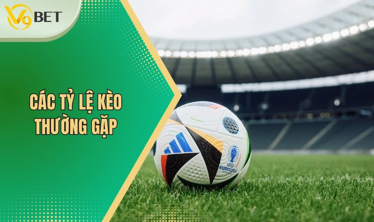 Kèo Trên Kèo Dưới | Hướng Dẫn Cách Soi Kèo Mới Nhất 2024 3 Các tỷ lệ kèo thường gặp