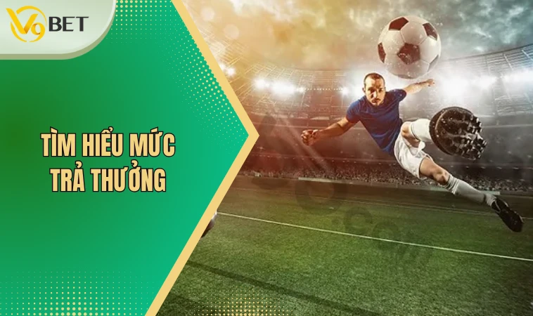 Kèo Cược Đội Thắng Là Gì? Công Thức Tính Tiền Chi Tiết 3 Tìm hiểu mức trả thưởng